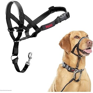 hundeleinen handgemacht Hands-Free Hundeleine Leder| FURFELLOWS