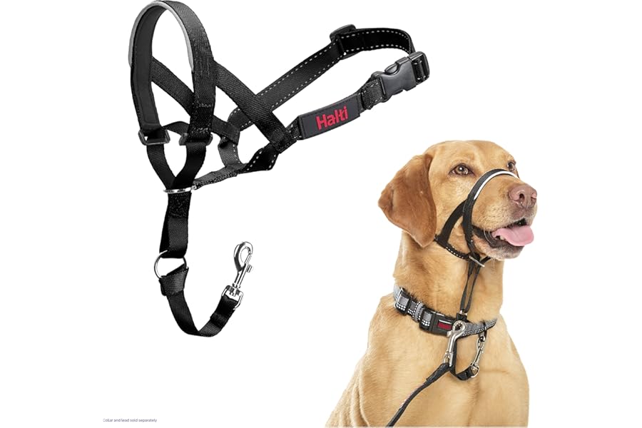 Halti Headcollar - Stop Your Dog Pulling on the Lead. Adjustable, Reflective and Lightweight, with Padded Nose Band. Dog Training Anti-Pull Collar for Medium Dogs (Size 3, Black)