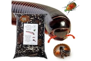 bugznbits Premium Millipede, Beetle & Woodlice Substrate (6 Litre)