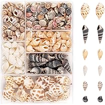 Hyxodjy Muscheln 220 Stück - Natürliche Muscheldeko Für DIY Projekte