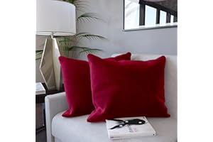ARREDITALY Set di 2 Federe Per Cuscini In Velluto Morbido e Resistente Copricuscini Per Divano Poltrona Soggiorno Arredo Arredamento Casa Design Moderno Elegante Cerniera Invisibile (60 x 60 cm, Rosso Vino)