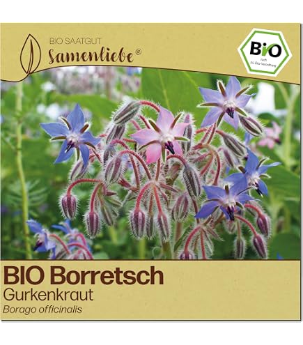 Euflor BlühWunder 1kg Garten