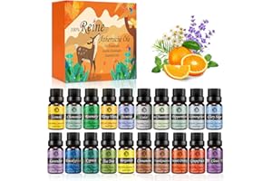 ISURI Huiles Essentielles Bio Naturelles Pures, Kit Huiles Essentielles pour Aromathérapie Diffuseurs Ultrasons 20 Saveurs Lavande, Arbre à Thé, Eucalyptus, Citron, Orange Douce, Menthe Poivrée