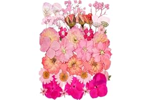 YoothBro 18 rodzajów 37 sztuk fioletowych suszonych kwiatów prasowanych do form z żywicy. Prawdziwe naturalne tłoczone kwiaty do rzemiosła artystycznego, produkcji świec, dekoracji paznokci, etui na