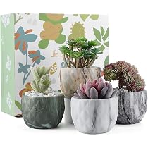 Vaso Per Piante Grasse In Ceramica A Forma Di Gatto Con Sciarpa - Regalo Originale Per Amanti Dei Cactus E Decorazione Casa, 15x9 Cm