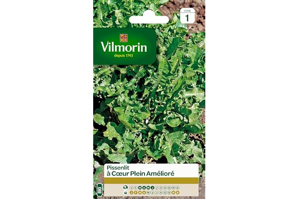 Vilmorin - Pissenlit cœur Plein - Plante très Productive - Forme compacte -