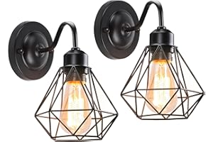 iDEGU Set di 2 applique da parete industriale, lampada da parete vintage, design retrò, paralume in ferro nero, lampada da parete E27, illuminazione per interni (Cage A 16 cm)