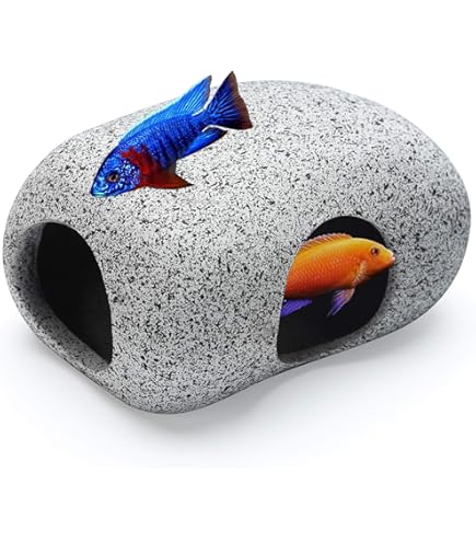 Acryl Clear Aquarium Garnalen Krabben Val Doos Één... - Vicedeal