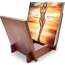 Honygebia Sapele V-vormige schijfhouder van massief hout voor presentatie en opslag, ideaal voor het opbergen van 40 hoogwaardige vinylplaten