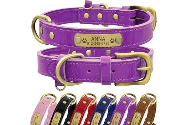 Senristar Collier pour Chien en Cuir Véritable Personnalisé avec Plaque d'identification - Collier pour Chien Durable et élégant Gravé pour Petits, Moyens et Grands Chiens