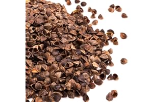 #DoYourYoga Organic - Cosses de Sarrasin pour remplir Les Coussins et traversins de 1kg à 30kg - Remplissage Bio pour traversins de Yoga - 5 Kg