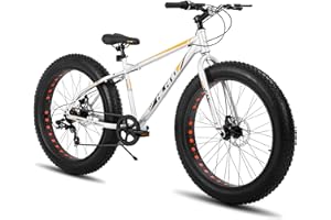 HH HILAND HILAND 24/26 Inch Fat Tire Mountain Bike, 7 Speed Mountain Bike for Boys and Girls, Double Disc Brake, Beach And Snow Bike for Youth Men Women