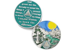 IELCJJ Sunlight 7 Year Sobriety Coin - Recovery Seven Year AA Coins - Serenity Prayer AA Chips and Medallions - 0-40 Prime Na Clean Token - Sober Chip Alcoholics Anonymous Gifts for Men Women