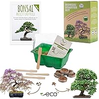 Bonsai Starter Kit Anzuchtset inkl. GRATIS eBook - Pflanzset aus Mini-Gewächshaus, Samen & Erde - nachhaltige…