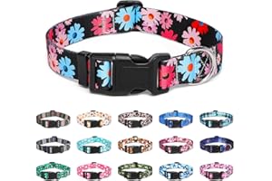 Suredoo Adjustable Dog Collar with Patterns, Ultra Comfy Soft Nylon Breathable Pet Collar for Small Medium Large Dogs (M, Floral Pink Blue)