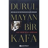 Durulmayan Bir Kafa: Bir Delilik ve Duygu Durumları G&uuml;ncesi