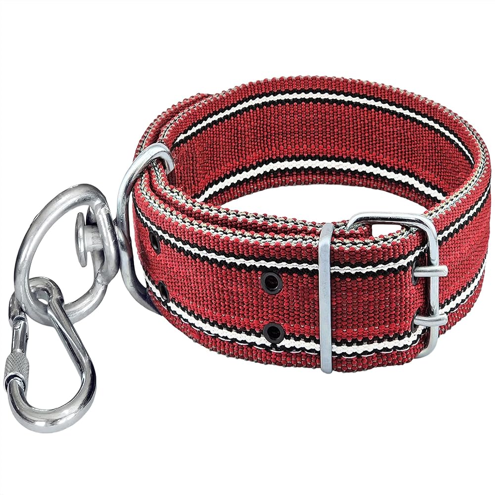 Aletçantam Köpek Boyun Tasması Büyük Irk 82cm Turuncu Çift Tokalı Kilitli Karabinalı, 01639101101101