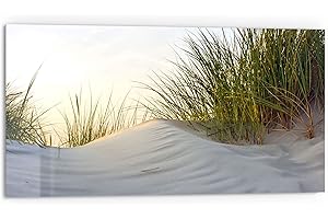 DEQORI Küchenrückwand Glas | Motiv Düne mit Dünengras | 80x40 cm | Bad- oder Herd-Rückwand | Herdblende Spritzschutz für Küche & Badezimmer | Moderne Deko für Fliesenspiegel