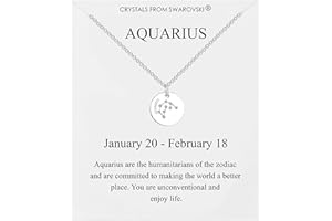 Philip Jones Collana con disco del segno zodiacale dell'Acquario creata con cristalli Zircondia®