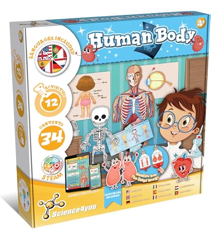 Lisciani Montessori Box Audición: Kit Sensorial De Sonidos Con Tamborín De Madera Y Tarjetas, Para Niños De 3 A 6 Años