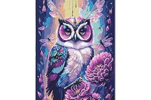 feelive Chouette Peinture par Numéro pour Adulte, Kit de Peinture à l'huile sur Toile Bricolage pour Débutants Avec Pinceau Pigment Acrylique 30x40cm