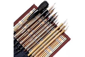 AOMAYLL Pincel chino caligrafía profesional,Pincel de escritura,con para escribir dibujo,Un juego de 10 pinceles (con bolsa de pinceles) (B)