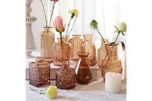 TOBENGDA Juego de 10 jarrones de cristal de ámbar pequeños para decoración de mesa, confirmación, mini jarrones para bodas, oficina, jardín, decoración, como regalo de inauguración de la casa para amigos y
