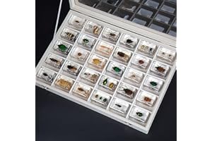 KPTKP Spécimens en Résine Véritables Insectes,Spécimens d'insectes Réels,Coffret Cadeau de spécimens Animaux Exquis,Spécimen Transparente Creative Petits Ornements,Presse-papier-30Pcs||44 * 29 * 20mm