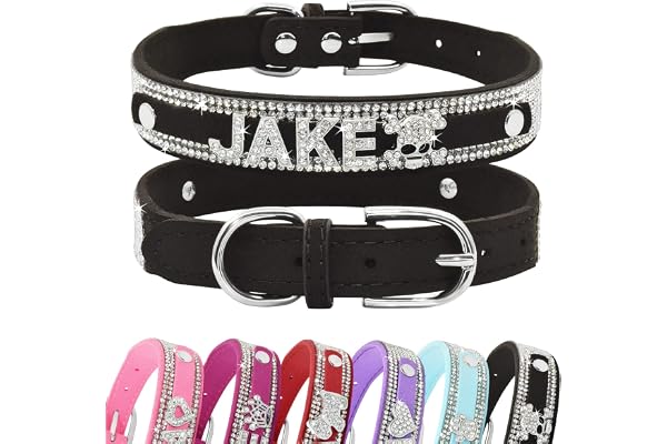 Senristar Collier pour Chien Personnalisé en Cristal avec Nom Bling,Collier pour Chien en Strass étincelant pour Petits, Moyens et Grands Chiens