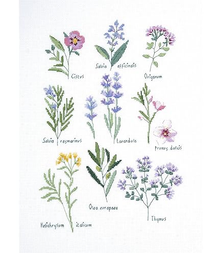 Kit Ricamo DMC La Farfalla Rosa - 15x15 Cm, Per Bambini, Con Canovaccio Stampato E Filo - Foto 8