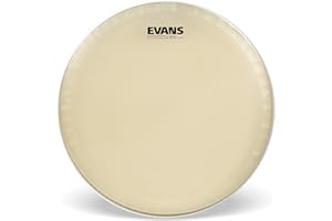 Evans CT14SS - Parche para caja, 24", con anillo