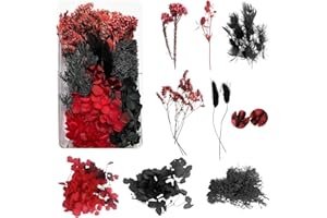 DOG'S BOOTY Trockenblumen zum Basteln Trockenblumen Deko Trockenblumen Klein Getrocknete Blumen Deko Trockenblumen Basteln Trockenblumen Set für DIY Basteln Handwerk(schwarz und rot)
