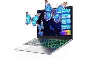 DMDFJY 14 inch Laptop IPS HD, N5095 PC Processor, 8GB DDR4 RAM 256GB SSD, 100% sRGB Laptop Computer, 7-Color Backlit Keyboard, Wi-Fi 5, USB 3.0 x2, Up to 4H Battery