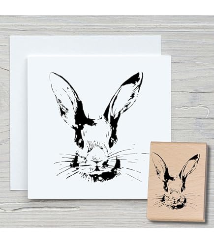 10 X Crochet À Vêtement Loxten 60 X 20 X 45 Mm Rose Crochet De