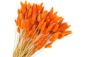 Songjum 120 PCS Dried Bunny Tails Flowers Lagurus Bunny Tails Pampas Grass Decor Orange Dried Pampas Grass Decor for Flower Arrangements Boho Wedding Bouquets Home Decor Garden Decor(Orange)
