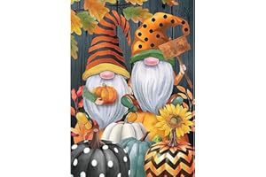 MXJSUA Diamond Painting Kit Completo Fai-Da-Te Pittura Diamante per Pittura Gnomi Barba Bianca Zucche 5D Diamond Painting Kit, Pittura Diamante, Ricamo Diamante, Decorazione da Parete 30x40cm