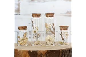 comforder Flores Secas Naturales en jarrones de Cristal, Set de 4 floreros de Cristal Modernos y Flores Preservadas (Otoño)