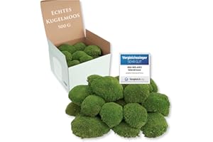MIA MILANO Kugelmoos naturgrün konserviert | 500g Echtes Bollenmoos für Moosbilder | Haltbares Moos zum Basteln | Wetterfestes naturgrünes Islandmoos