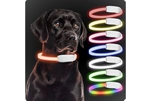 PAJ Light LED Collar - Stark leuchtendes Leuchthalsband für Hunde Aller Größen - individuelle Länge 20-70cm - 100% Wasserfest - 7 Farben - Sichtbarkeit & Sicherheit bei Nacht, Weiss