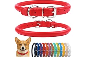 CollarDirect Collier de Chien en Cuir roulé, Collier de Chiot Rond rembourré Doux, Collier en Cuir véritable Fait à la Main pour Chien Petit Grand Collier de Chat (30-35 cm, Rouge texturé)