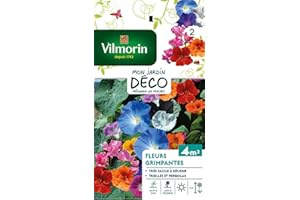 Vilmorin 5860642 Pack de Graines Fleur Grimpante