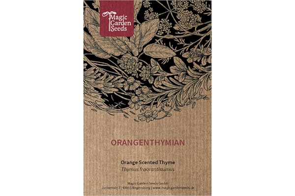 Thym d'orange (Thymus fragrantissimus) env. 200 semences