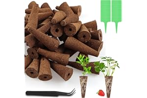 HAIJED 61Pcs Grow Sponges for Hydroponics Seed Starter Sponges Kit with 10 Plant Labels and 1 Tweezer Replacement Root Growth Sponges Gardening Accessories for Hydroponic Indoor Garden System