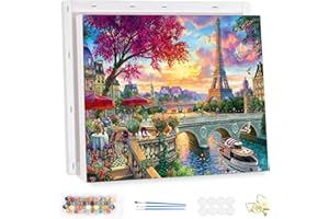 MEIYUDA Peinture par Numero Adulte avec Cadre, Paris au printemps DIY Peinture à l'huile par Numéros sur Toile Artisanat avec Pinceaux Peintures Acryliques, Decoration Maison Cadeau 40x30cm