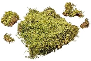 ‎MAMEMI MaMeMi MOOS-Beutel für KRIPPEN und Dekoration – NATÜRLICHES Krippenmoos aus Deutschland, Handgepflückt, Ideal für Basteln von Krippenlandschaften, Gestecken und DIY-Projekte