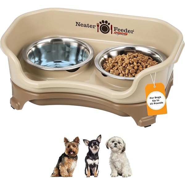 Midwest Skudo Haustiertransportbox – Kunststoff, 48,3 Cm, Für Kleine Hunde & Katzen