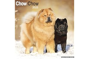 Chow Chow Calendar 2025 Square Dog Breed Wall Calendar - 16 Month