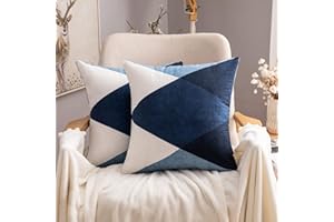 MIULEE Federe Cuscini Divano Geometriche Copricuscini Decorativi Scamosciati Fodere Cuscino Stampato Copricuscino Quadrato con Cerniera per Camera da Letto Casa Soggiorno 45x45 cm 2 Pezzi Blu