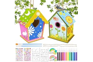 DGUSO Diy Maison D'oiseau Bricolage Kit, 2 pièces Kit Mangeoire Oiseaux à Construire, Kit de Construction de Nichoir Pour Enfants, Maison D'oiseau Bricolage Kit de Loisir Creatif pour 3+ ans et plus