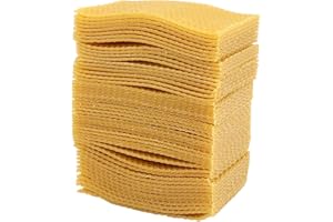 ANBP 50 StüCk Imkerei Bienen Imkerei Foundament Rahmen Bienen Garten Bienen Imkerei Werkzeuge